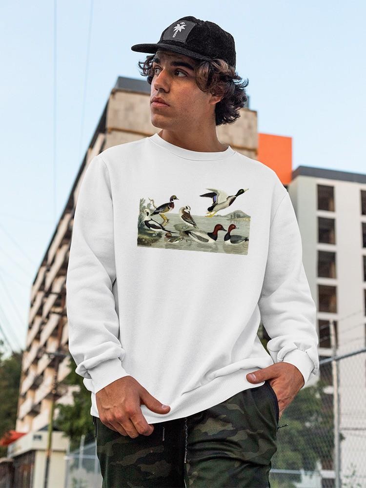 Duck Family Sweatshirt -Alexander Wilson Designs