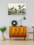 Duck Family Wall Art -Alexander Wilson Designs