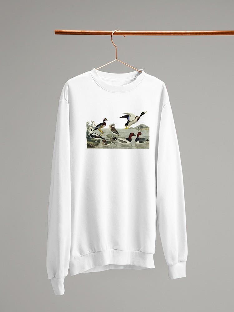 Duck Family Sweatshirt -Alexander Wilson Designs