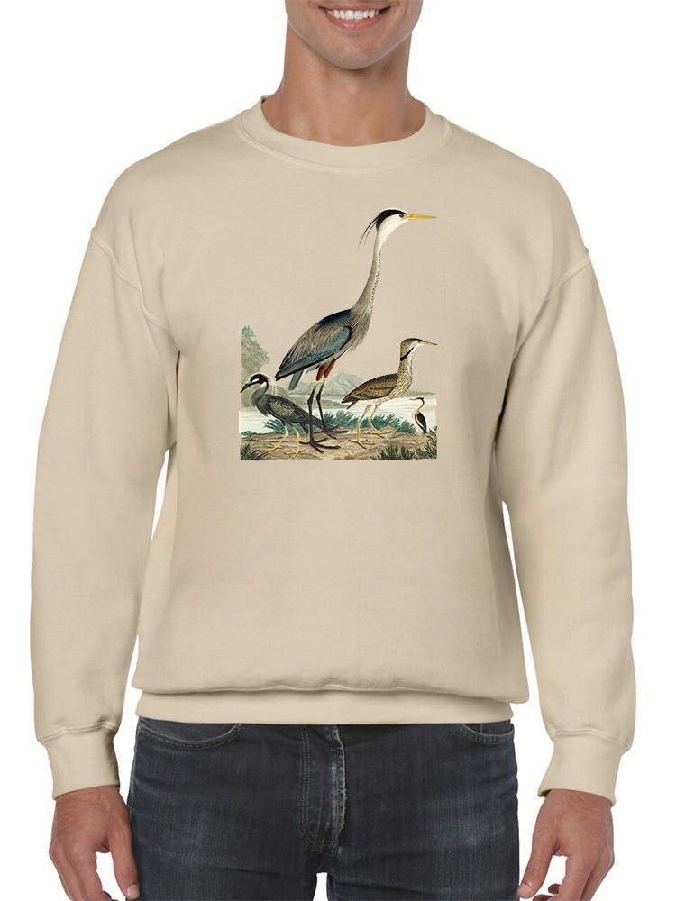 Heron Family I Sweatshirt -Alexander Wilson Designs