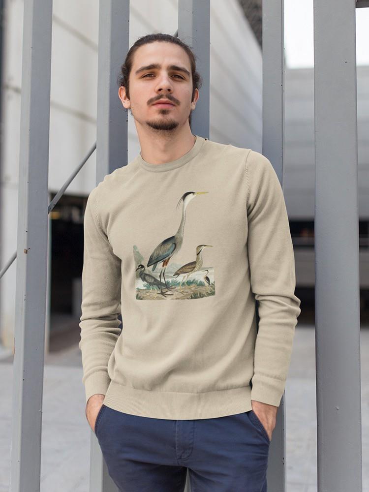 Heron Family I Sweatshirt -Alexander Wilson Designs