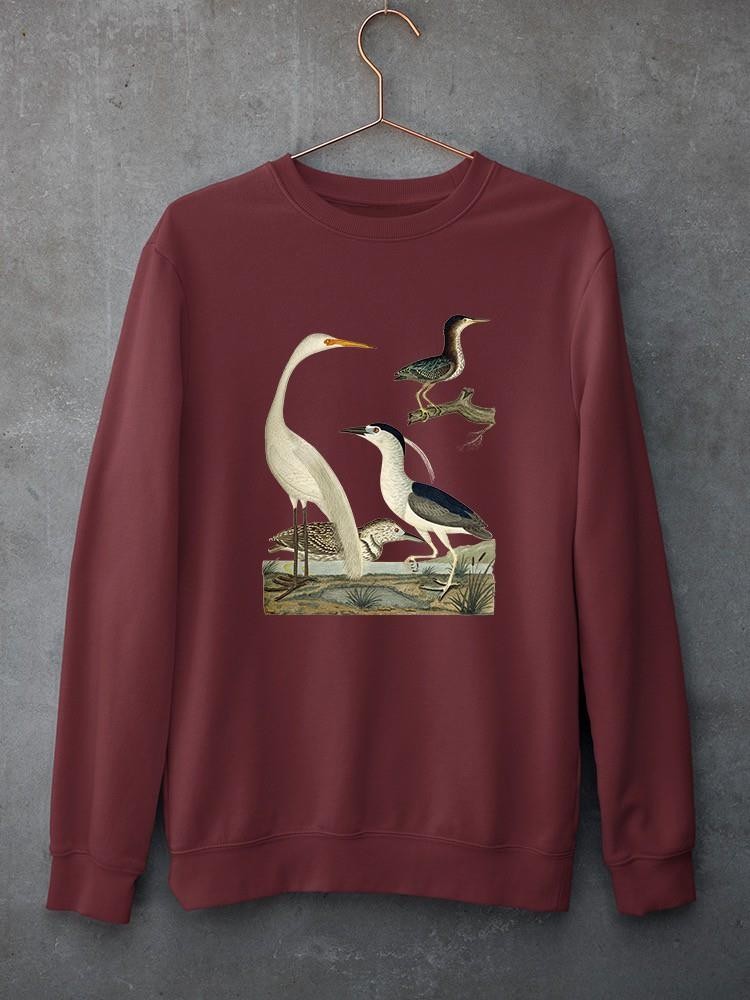 Vintage Heron Family Sweatshirt -Alexander Wilson Designs