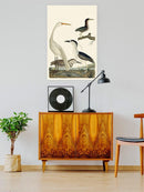 Vintage Heron Family Wall Art -Alexander Wilson Designs