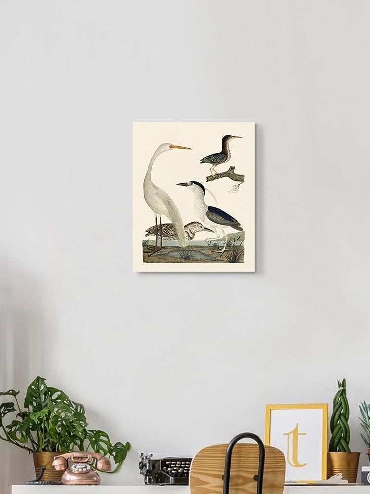 Vintage Heron Family Wall Art -Alexander Wilson Designs