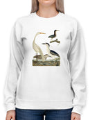 Vintage Heron Family Sweatshirt -Alexander Wilson Designs