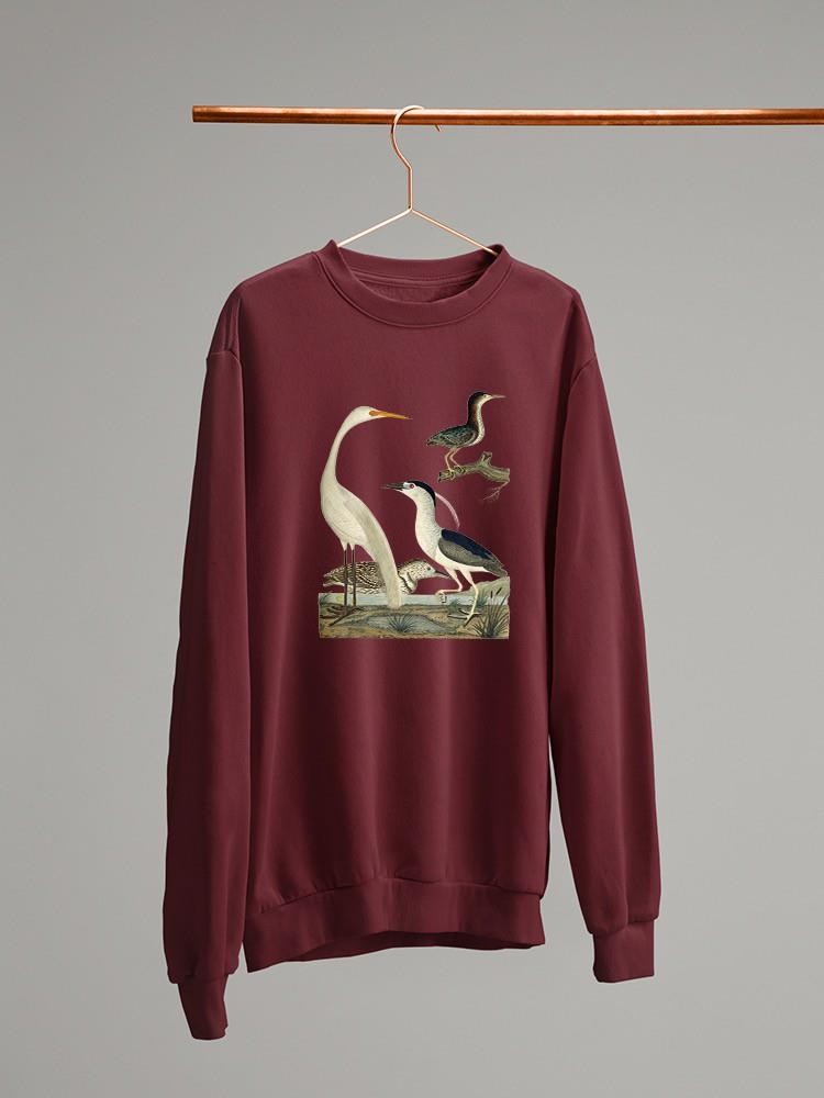 Vintage Heron Family Sweatshirt -Alexander Wilson Designs