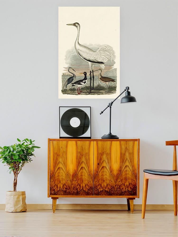 Heron Family Iii Wall Art -Alexander Wilson Designs