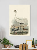 Heron Family Iii Wall Art -Alexander Wilson Designs