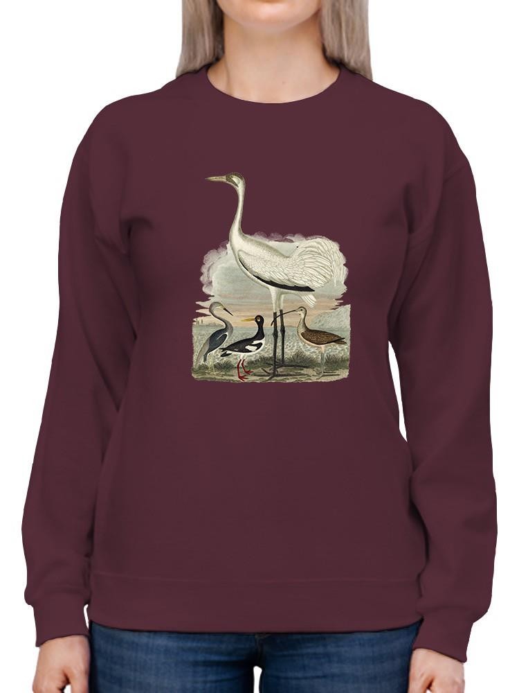 Heron Family Iii Sweatshirt -Alexander Wilson Designs