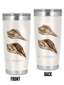Sienna Shell Collector Iii Tumbler -Annie Warren Designs