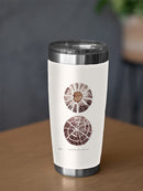 Sienna Shell Collector Ii Tumbler -Annie Warren Designs