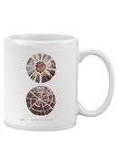 Sienna Shell Collector Ii Mug -Annie Warren Designs