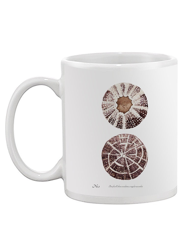 Sienna Shell Collector Ii Mug -Annie Warren Designs