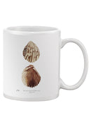 Sienna Shell Collector I Mug -Annie Warren Designs