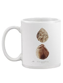 Sienna Shell Collector I Mug -Annie Warren Designs