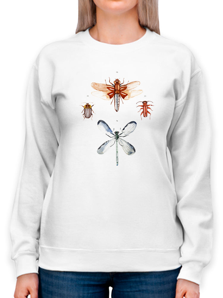 Insect Varieties Iv Sweatshirt -Annie Warren Designs
