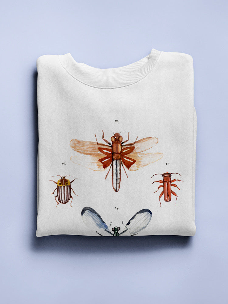 Insect Varieties Iv Sweatshirt -Annie Warren Designs