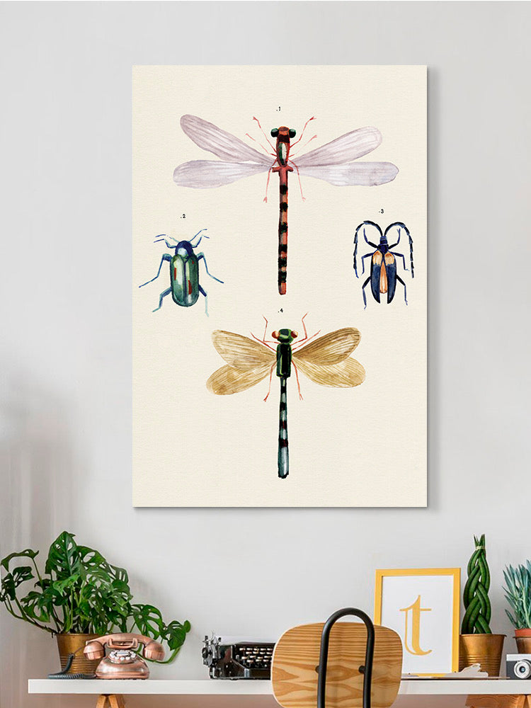 Insect Varieties I Wall Art -Annie Warren Designs