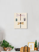 Insect Varieties I Wall Art -Annie Warren Designs
