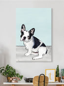 Pet Portrait Iii. Wall Art -Annie Warren Designs