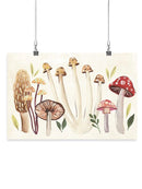 Fungi Field Trip Collection A Wall Art -Annie Warren Designs