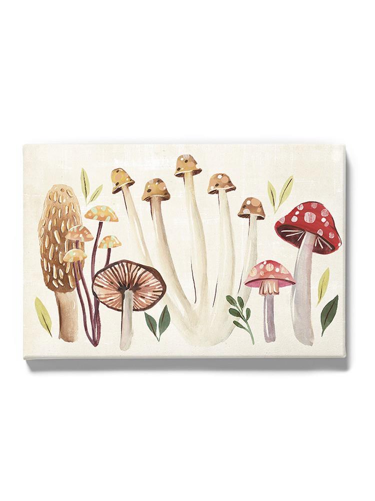 Fungi Field Trip Collection A Wall Art -Annie Warren Designs