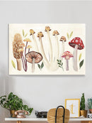 Fungi Field Trip Collection A Wall Art -Annie Warren Designs