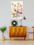 Fungi Field Trip Collection B Wall Art -Annie Warren Designs