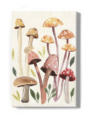 Fungi Field Trip Collection B Wall Art -Annie Warren Designs