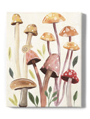 Fungi Field Trip Collection B Wall Art -Annie Warren Designs