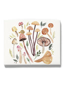 Fungi Field Trip. Iii Wall Art -Annie Warren Designs