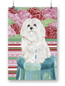 Della Rose Maltese Wall Art -Carolee Vitaletti Designs
