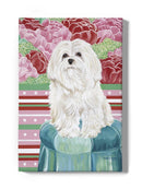 Della Rose Maltese Wall Art -Carolee Vitaletti Designs
