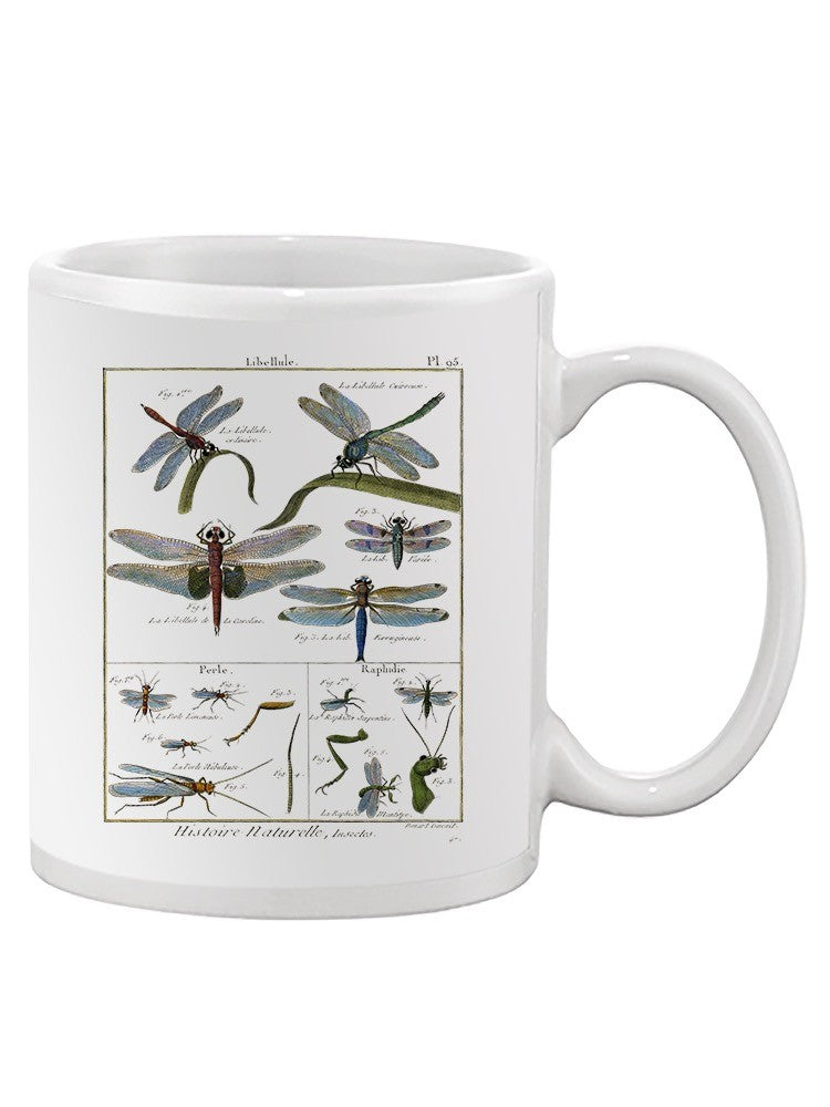 Dragonfly Encyclopedia Mug -Denis Diderot Designs
