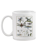 Dragonfly Encyclopedia Mug -Denis Diderot Designs