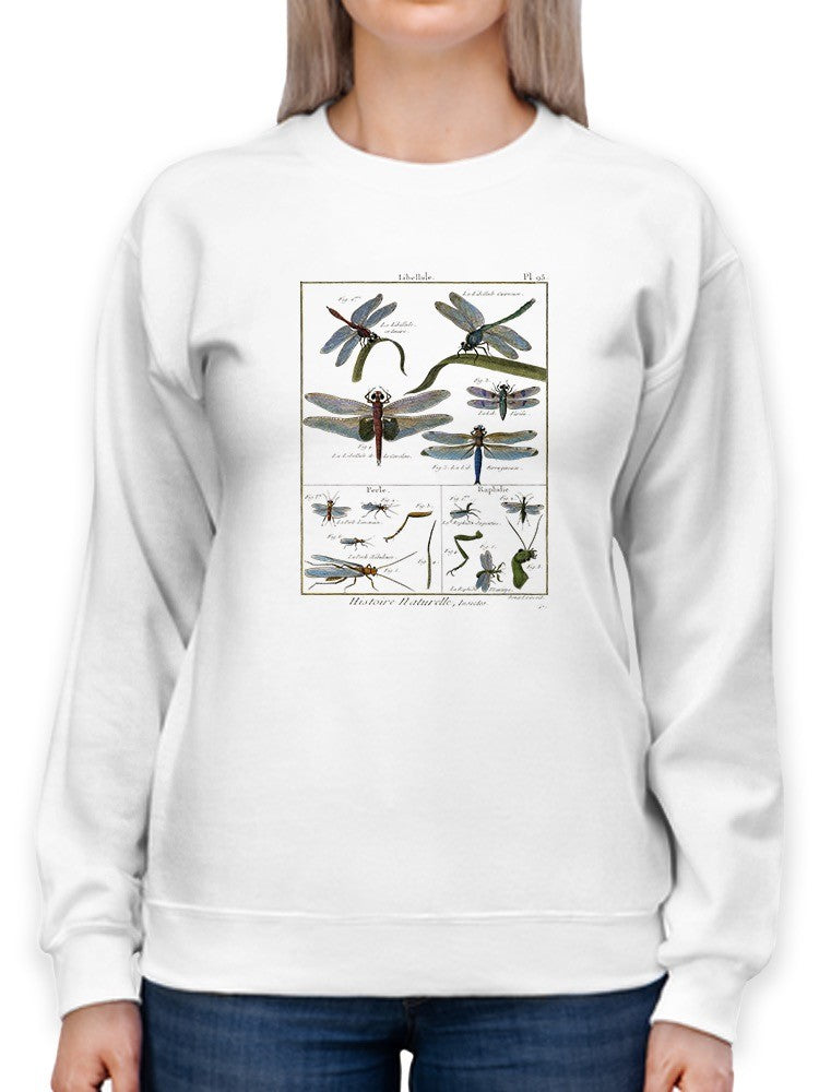 Dragonfly Encyclopedia Sweatshirt -Denis Diderot Designs