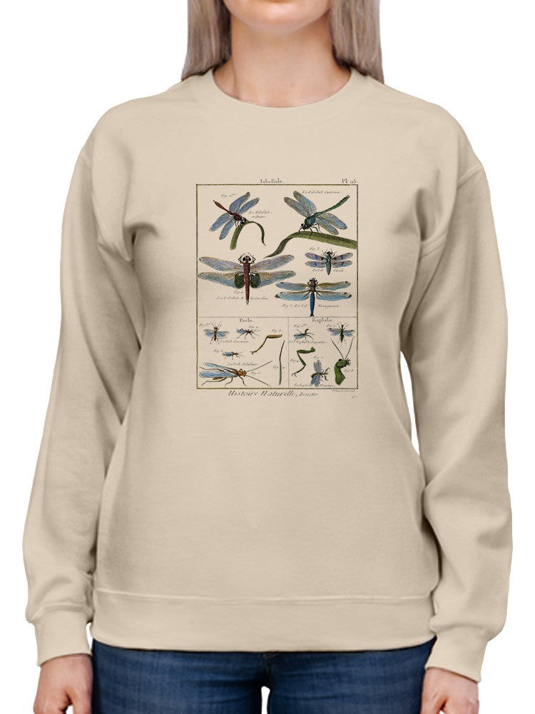 Dragonfly Encyclopedia Sweatshirt -Denis Diderot Designs