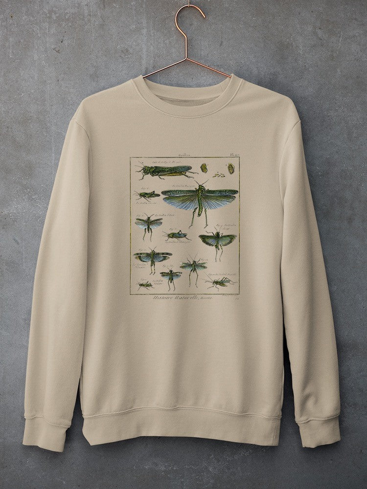Insects Encyclopedia Sweatshirt -Denis Diderot Designs