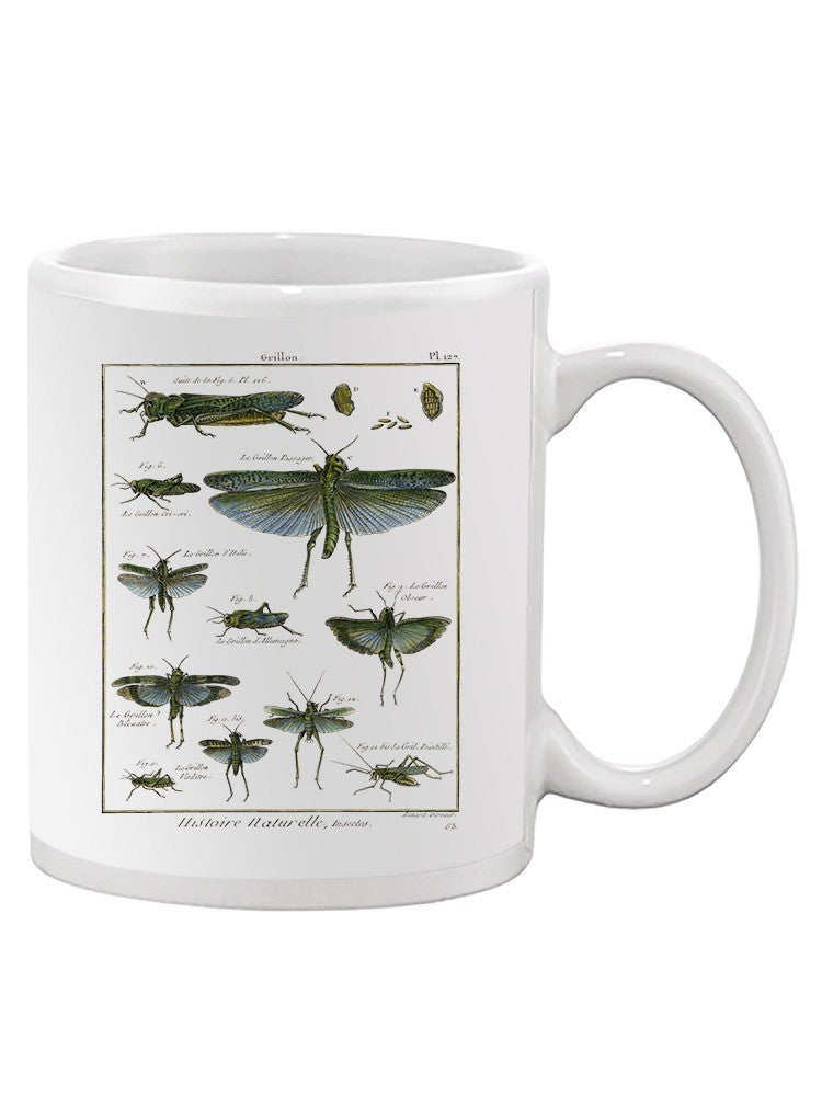 Insects Encyclopedia Mug -Denis Diderot Designs