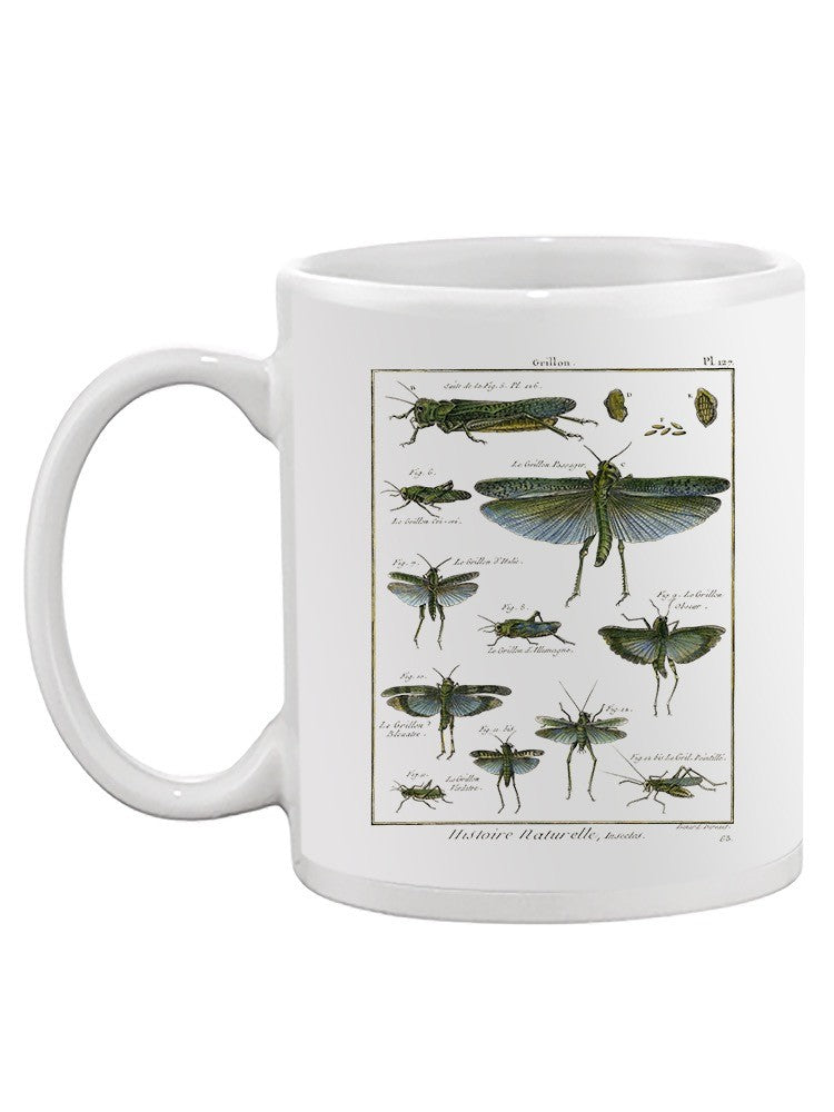 Insects Encyclopedia Mug -Denis Diderot Designs
