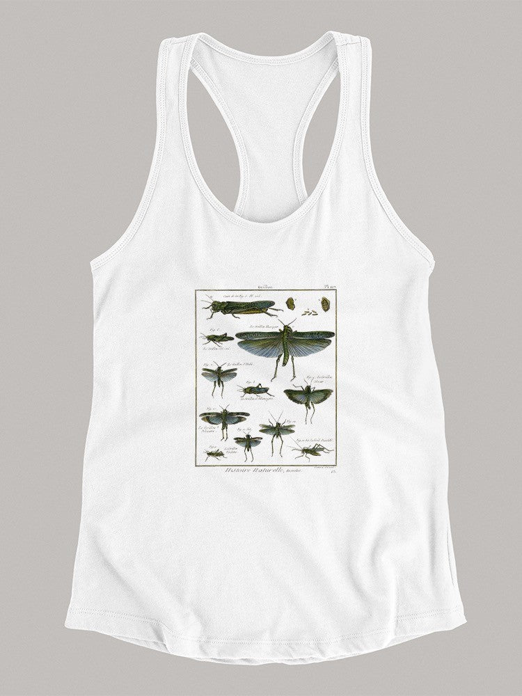 Insects Encyclopedia T-shirt -Denis Diderot Designs