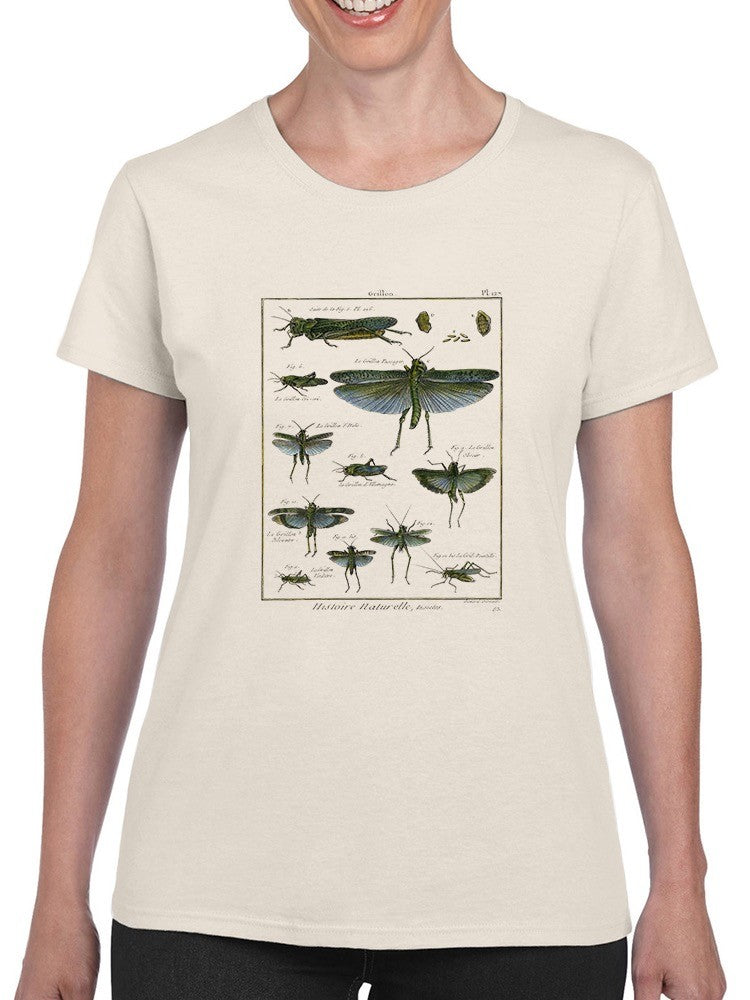 Insects Encyclopedia T-shirt -Denis Diderot Designs
