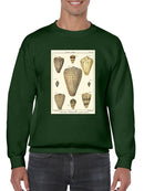 Cone Shells. Sweatshirt -Denis Diderot Designs