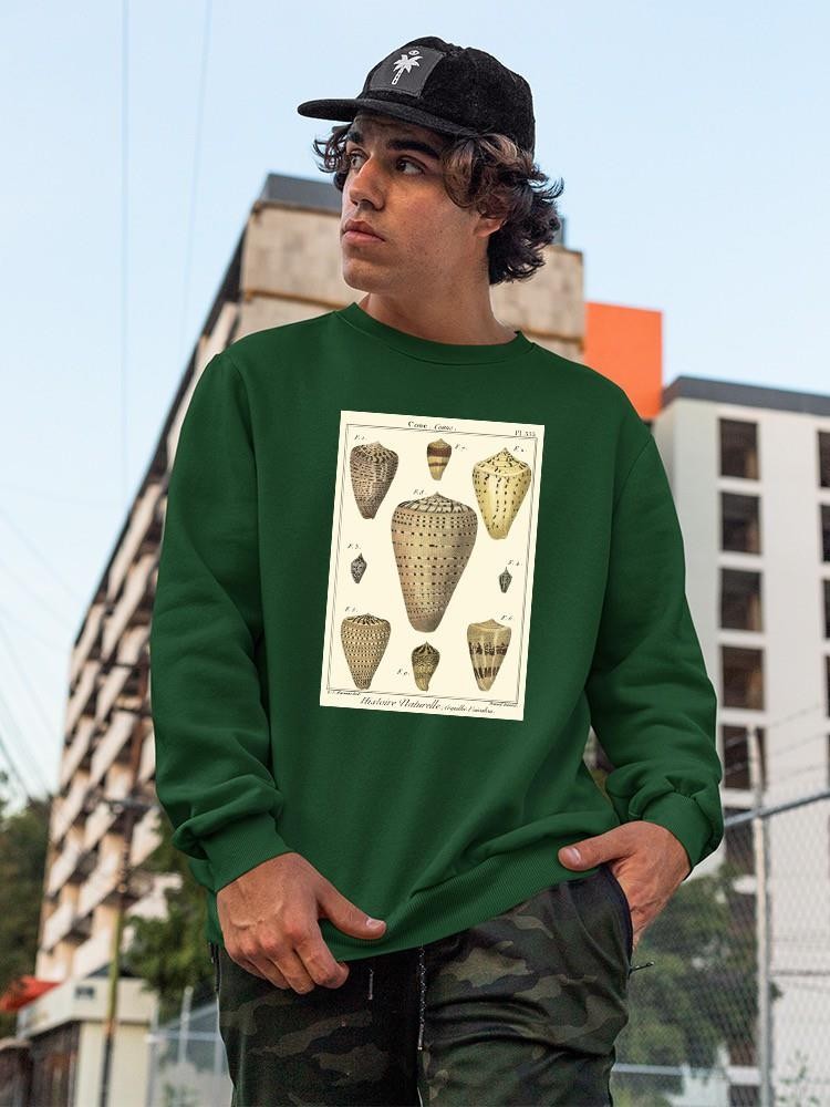 Cone Shells. Sweatshirt -Denis Diderot Designs