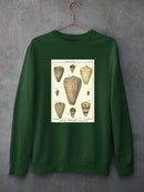 Cone Shells. Sweatshirt -Denis Diderot Designs