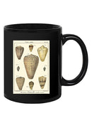 Cone Shells. Mug -Denis Diderot Designs
