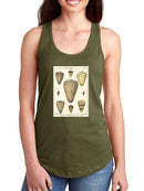 Cone Shells. T-shirt -Denis Diderot Designs
