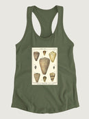 Cone Shells. T-shirt -Denis Diderot Designs