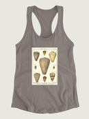 Cone Shells. T-shirt -Denis Diderot Designs