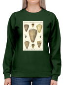 Cone Shells. Sweatshirt -Denis Diderot Designs